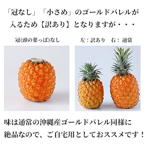 ゴールドバレル５本 楽天市場】【7月中旬～8月上旬頃発送予定】［特選］沖縄県産
