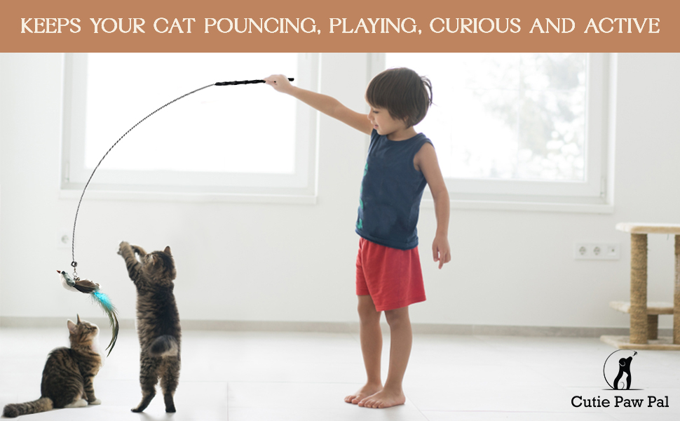 Interactive Fun for Your Feline
