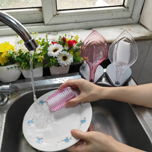dish brush