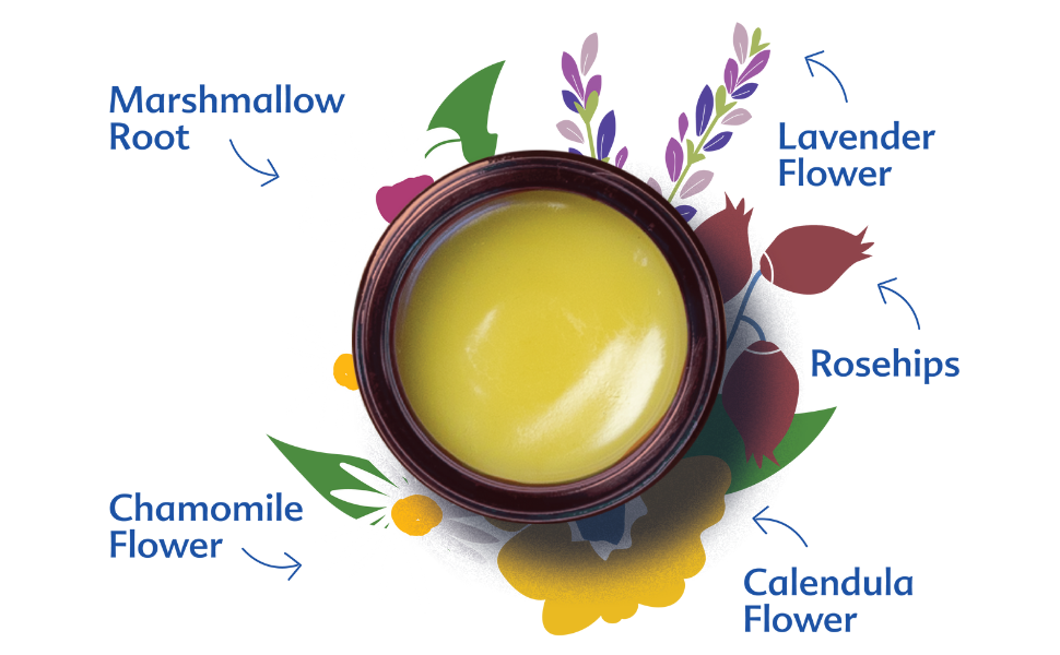 Pregnant Belly Salve ingredients