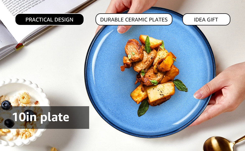 MEKY Dinner Plates, Ceramic 10 inch Round Dish Plates Set