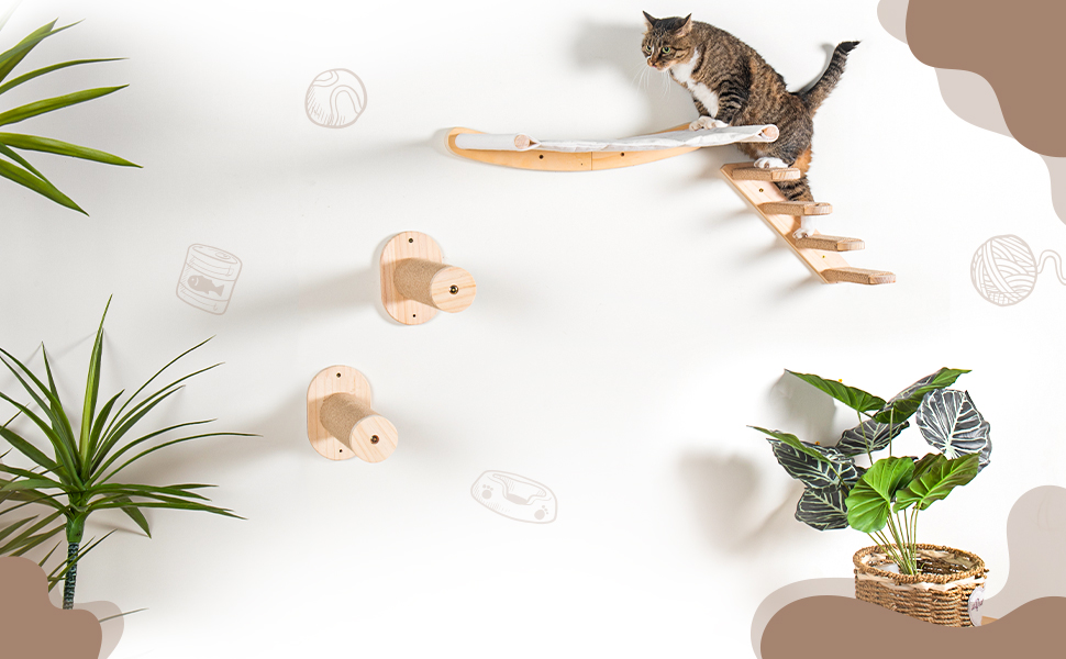 cat climbing on ladder