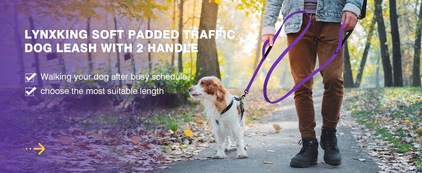 6FT Dog Leash for Large Medium Small Dogs