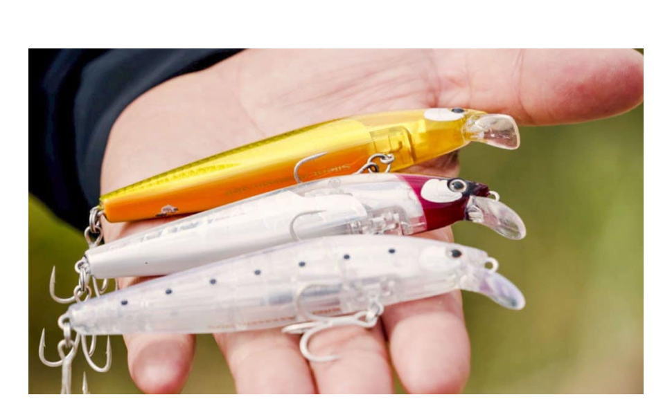 エクスセンスサイレントアサシン