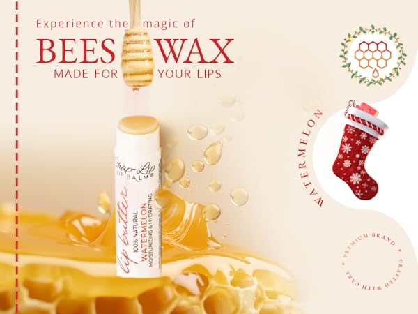  Lip Balm Hydrating Bulk Chap Stick with Fruit Flavors, Coconut Oil, Cocoa Butter - Christmas