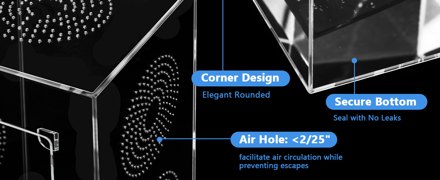 Jumping Spider Enclosure 3-1464 600 Bottom and Air Hole