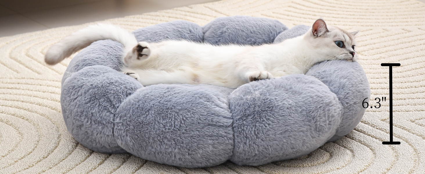cat bed
