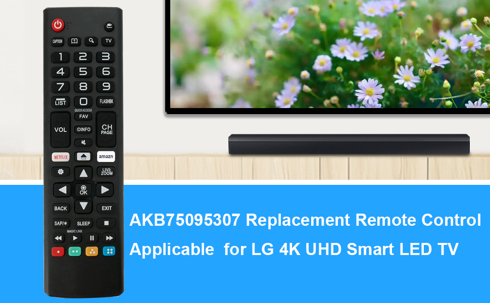 Amazon.com: AKB75095307 Replace Remote fit for LG TV