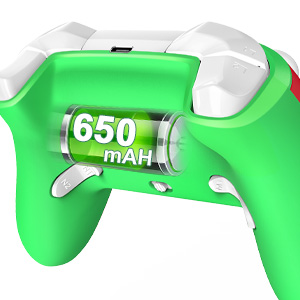 Nintendo switch controller wireless