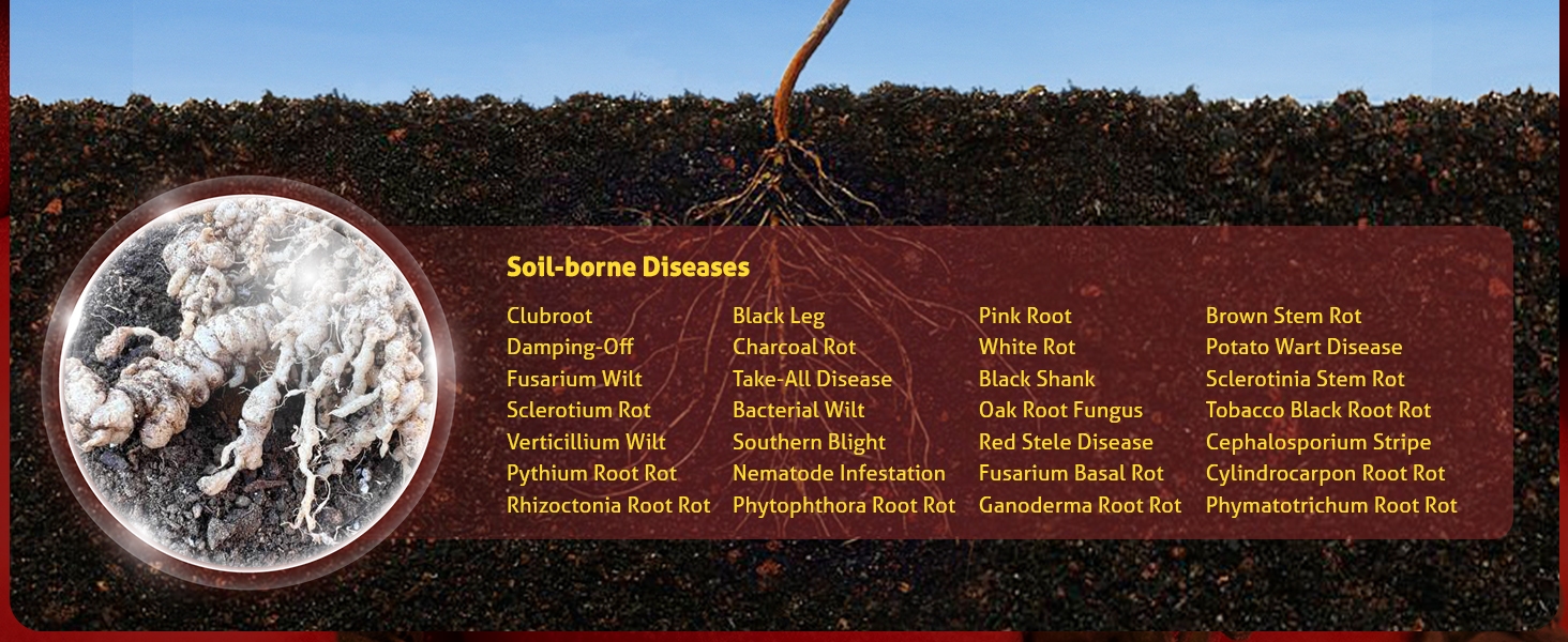 Large manufacture image 4