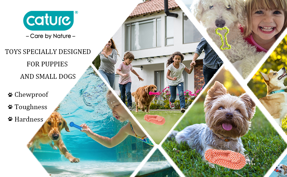 Set Puppy chew Toys for Teething 3 Pack Toys for Small Dogs Durable Dog Interactive Toys Different 