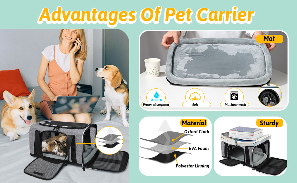 Petskd Pet Carrier 17x11x9 Southwest Alaska Airline