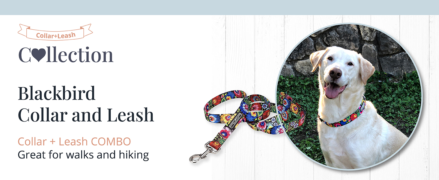 pearl rubber fluorescent rose gold silicone no stink superman kitten georgia corndog better skulls