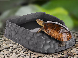 turtle bathing pool with ramp