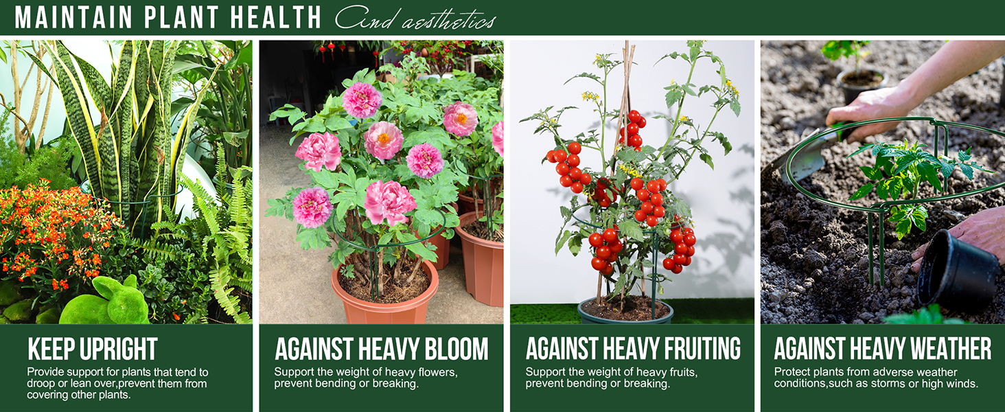 Versatile Plant Stakes