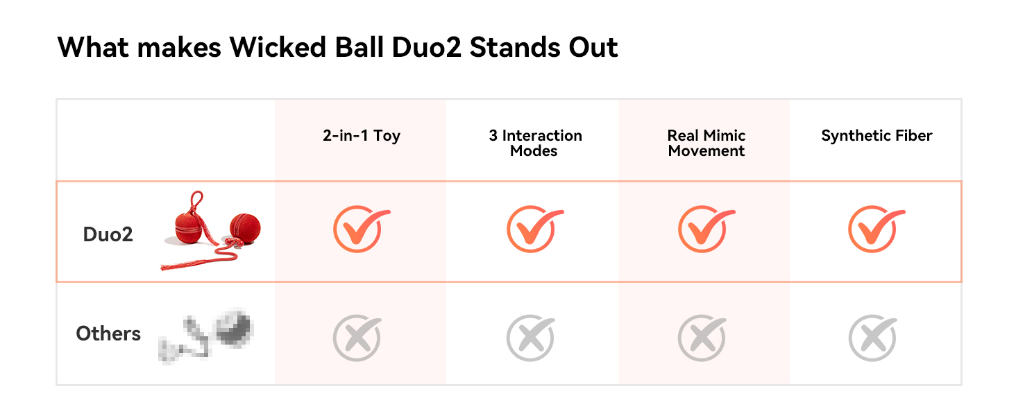 cat toys interactive