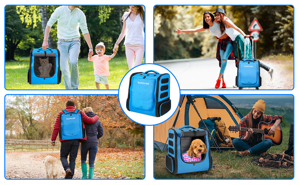 Rolling Cat Carrier Airplane Approved Pet Carrier with