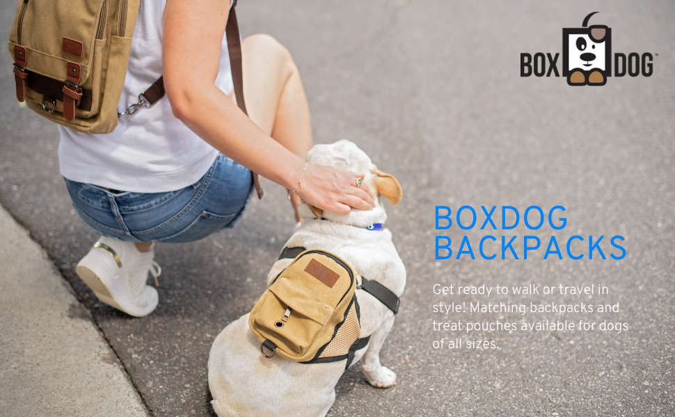 BoxDog backpacks