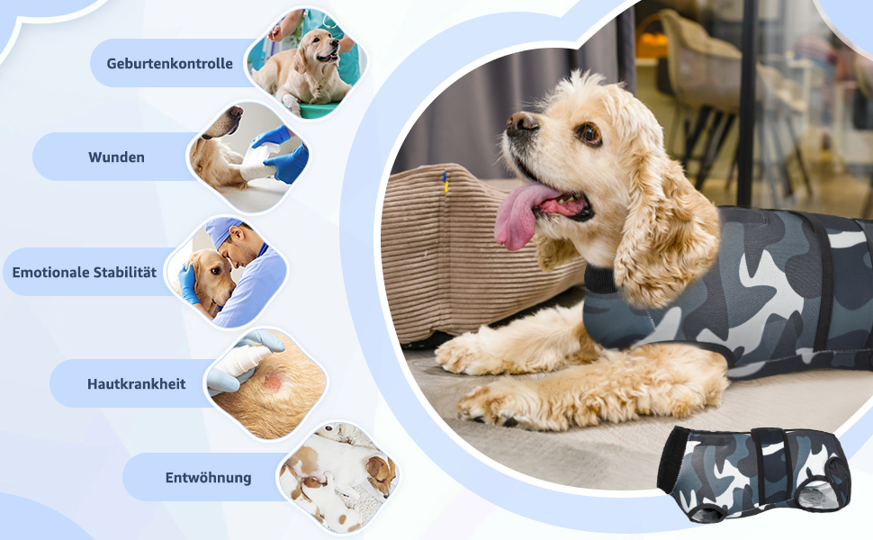 hundebody nach kastration rüde