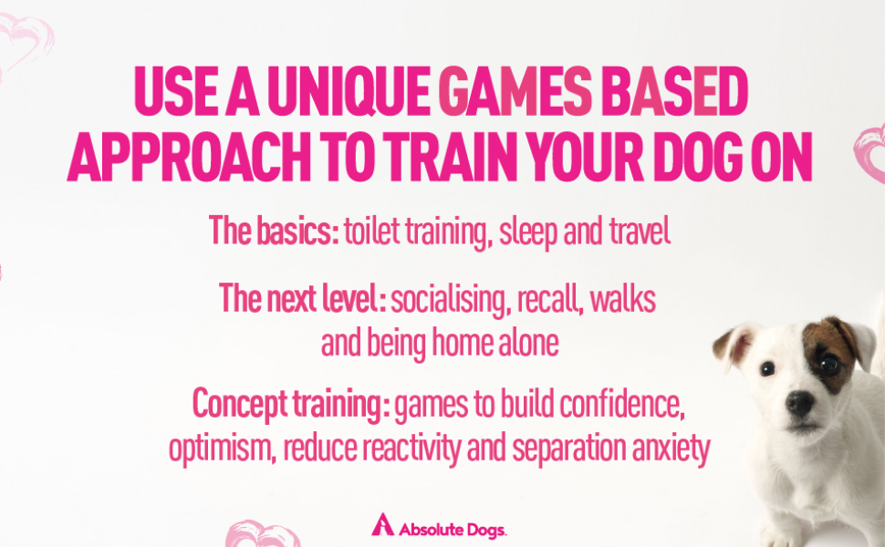 Game On, Puppy! The fun, transformative approach to training your puppy from the founders of