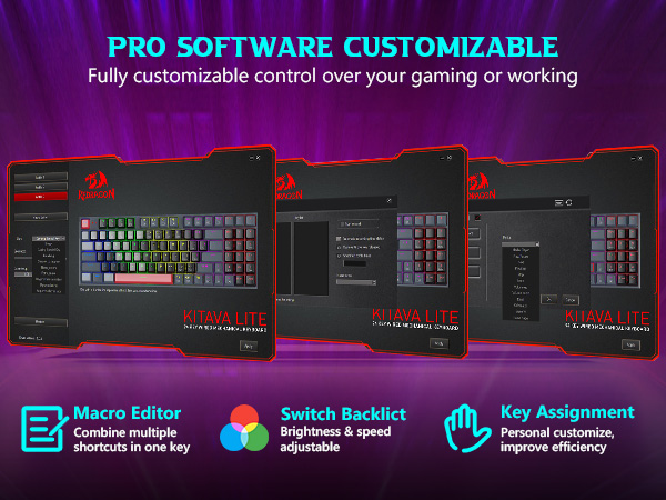 pro software