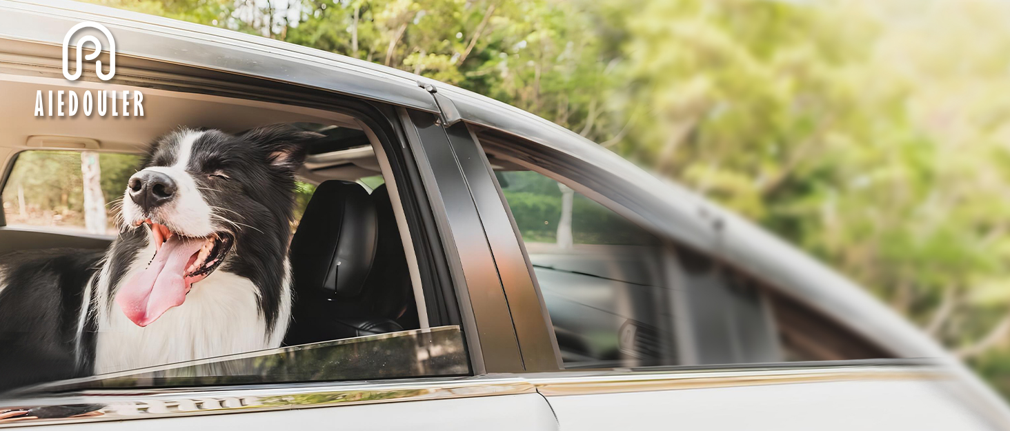 back seat extender for dogs