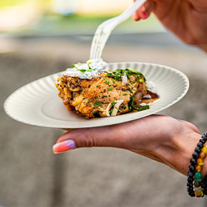 Disposable paper plates