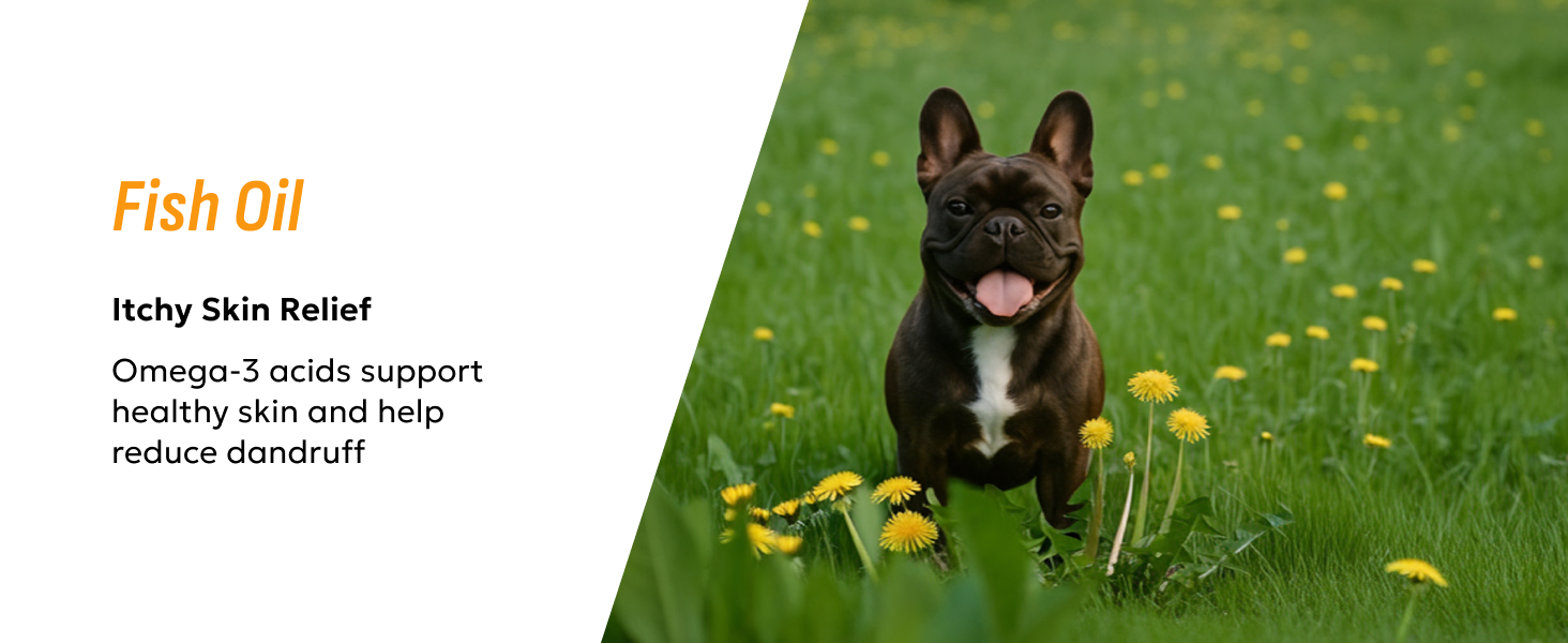 Fish oil supplement advertisement featuring a French Bulldog in a grassy field with dandelions. Text highlights itchy skin relief and omega-3 benefits for skin and dandruff reduction.