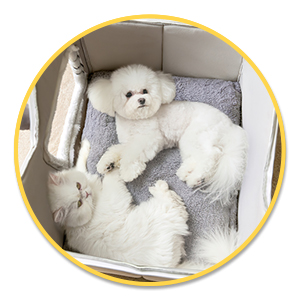 maison lit chien chat amovible lavable promo