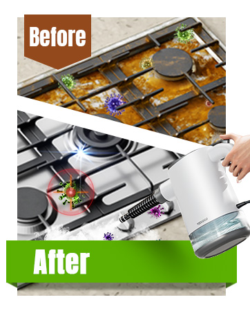 steam cleaner for home