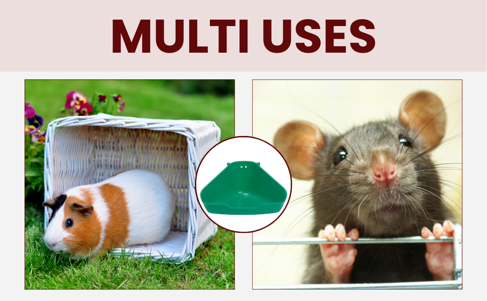 Small Corner Litter Box for Ferrets Rats Guinea Pigs