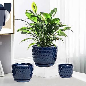 Nattol Ceramic Flower Plant Pots with Saucers - Set of 3