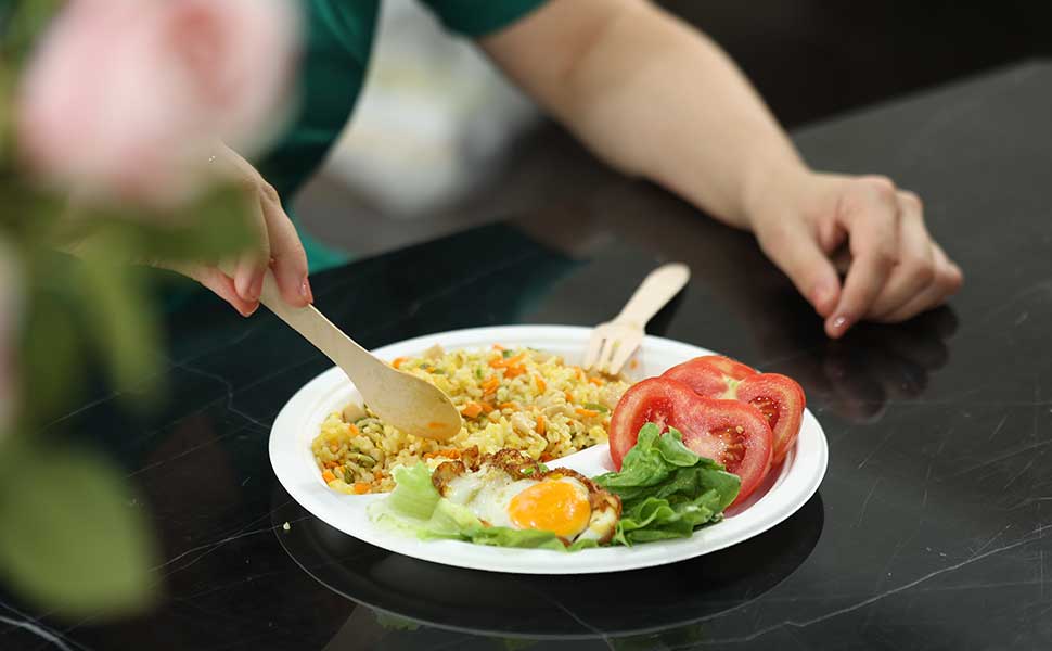 HOMURG Disposable Wooden Forks and Spoons Set for 100 Guests