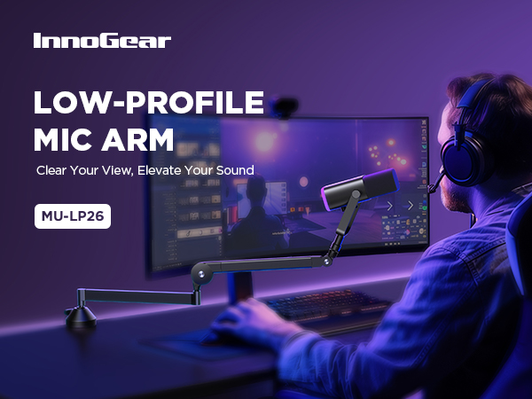 low profile mic arm