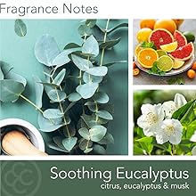 Soothing Eucalyptus