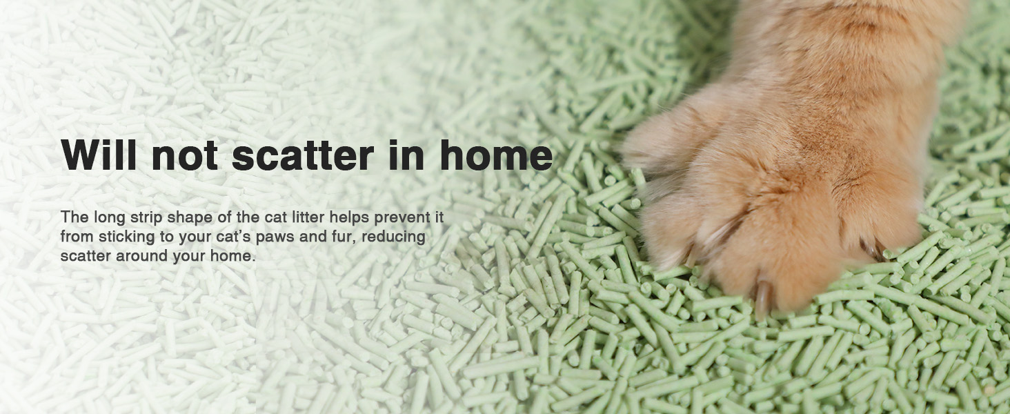 tofu cat litter