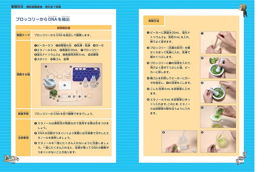 学校勝ち抜き戦・実験対決 (49)『進化の対決』 (実験対決
