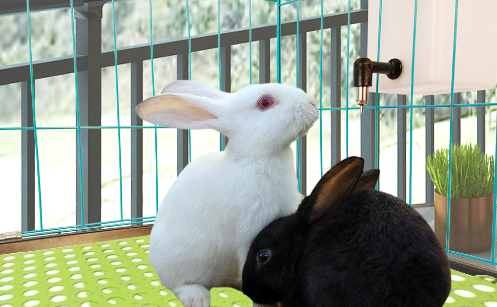 Bonchoice rabbit water bottle with nipple drinker