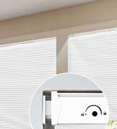 blackout blinds
