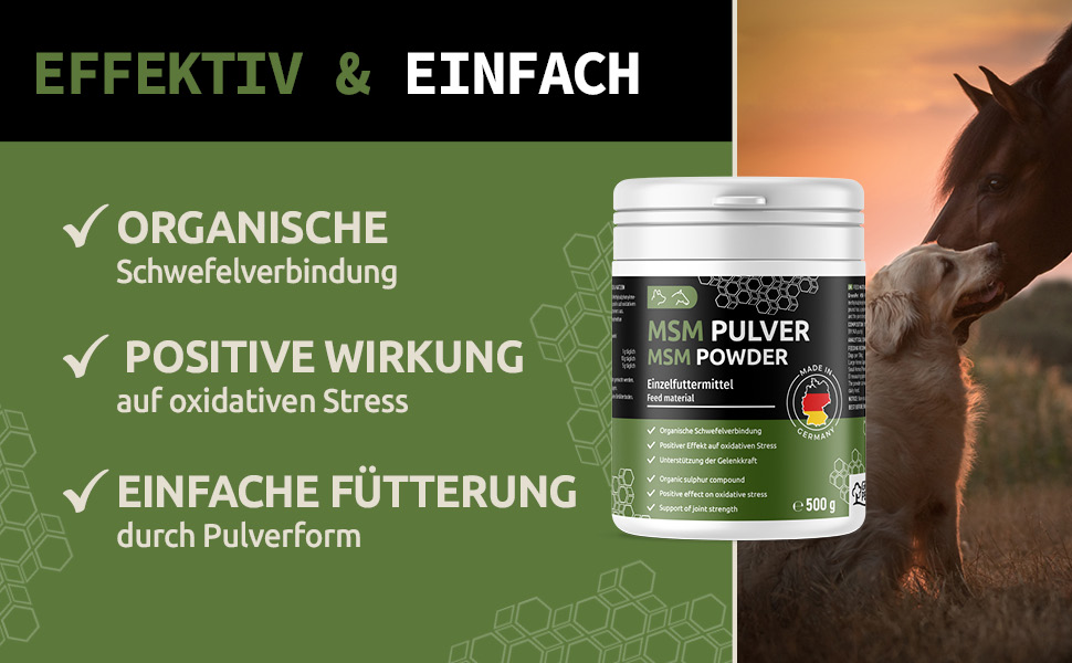 MSM Pulver für Hunde