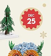 house buildable set toy