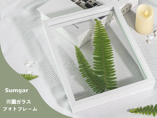 Amazon.co.jp: 写真フレーム 透明 両面ガラス ディスプレイ 2L