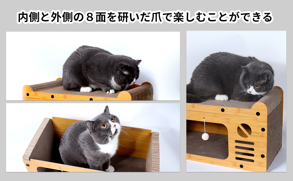 段ボールの家