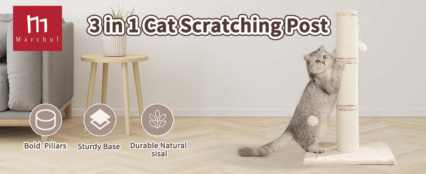 cat scratching post