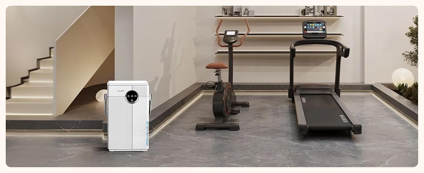 quiet dehumidifier for basement