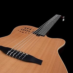Amazon | GODIN (ゴダン) ナイロンギター エレガットギター ACS