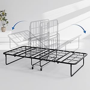 Ferlizer Folding Bed