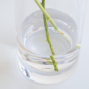 クレイ CLAY ポリカーボネート直径20高さ50 花瓶 フラワーベース Amazon.co.jp: CLAY（クレイ） 花瓶 割れない フラワーベース 高