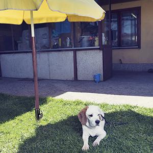 base sombrilla playa