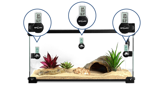 aquarium thermometer digital